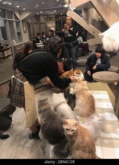 Laatste bedrijfscasus over Specifieke Klantenfeedback (Anonieme Compilatie)