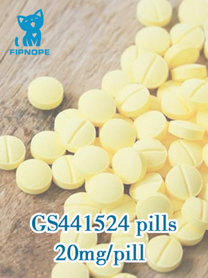 Kat FIP GS441 CAS 1191237-69-0 gs-441524 Tabletten